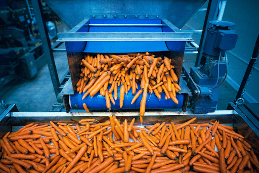 imagem de uma indústria com cenouras para representar o setor alimentício